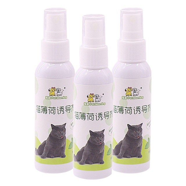 Chai xịt catnip cho mèo 50ml - Thức ăn cho mèo giá sỉ