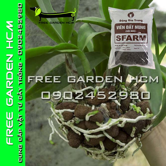 BAO 50dm3  ĐẤT NUNG SFARM/ SỎI NHẸ