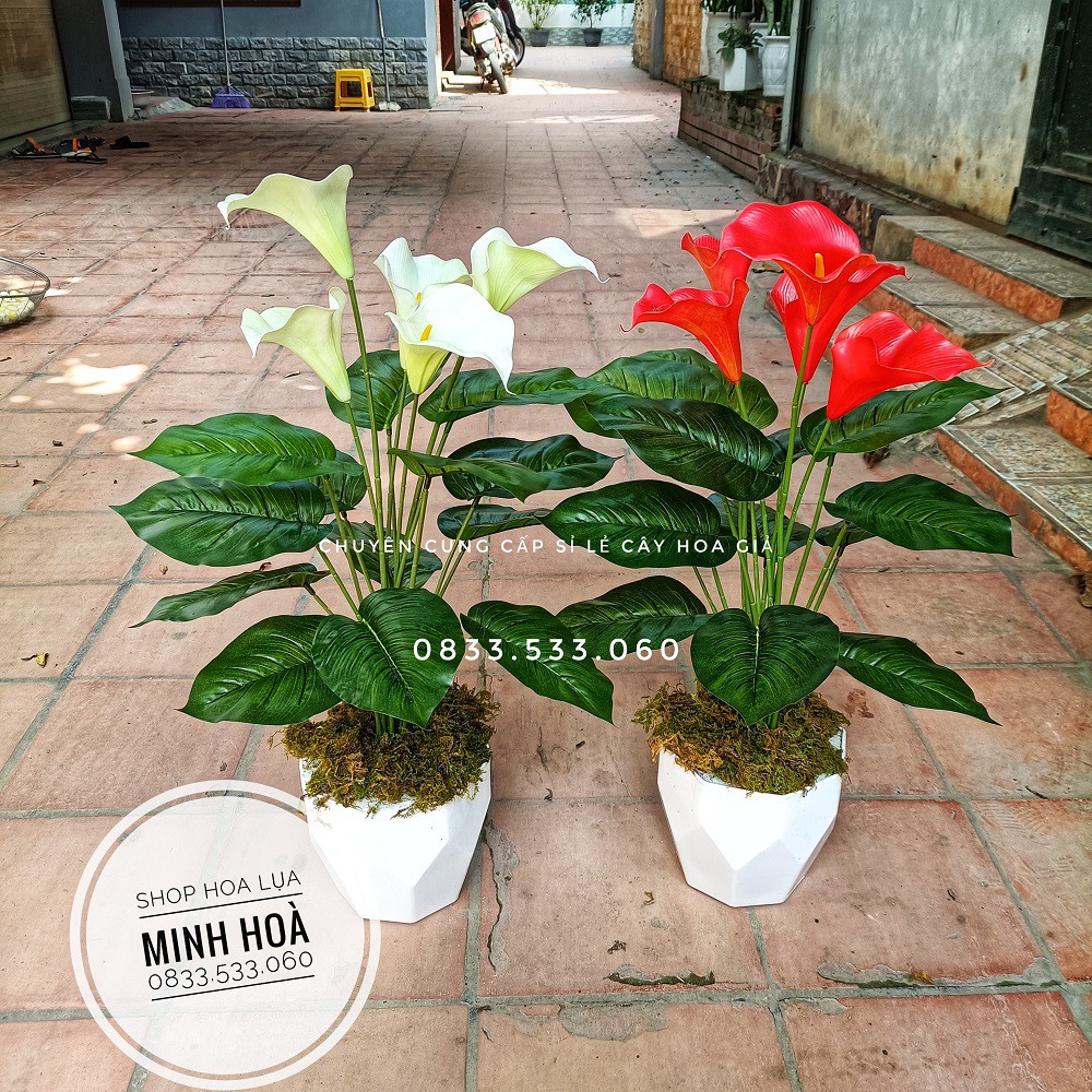 Cây Hoa Rum giả Cao 70cm, 5 bông - Ko kèm chậu - Cây cảnh giả trang trí nhà cửa,văn phòng,decor