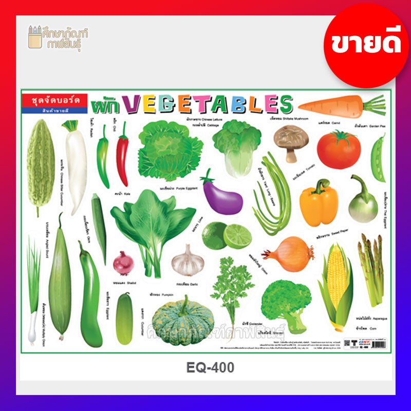 Poster Giấy Rau Quả EQ-400 Hình Học Từ Vựng Tiếng Anh / Tiếng Thái 2 Ngôn Ngữ Tấm Trắng Lớn