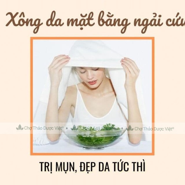 Ngải cứu khô, thơm, nguyên lá 500g - Chợ Thảo Dược Việt