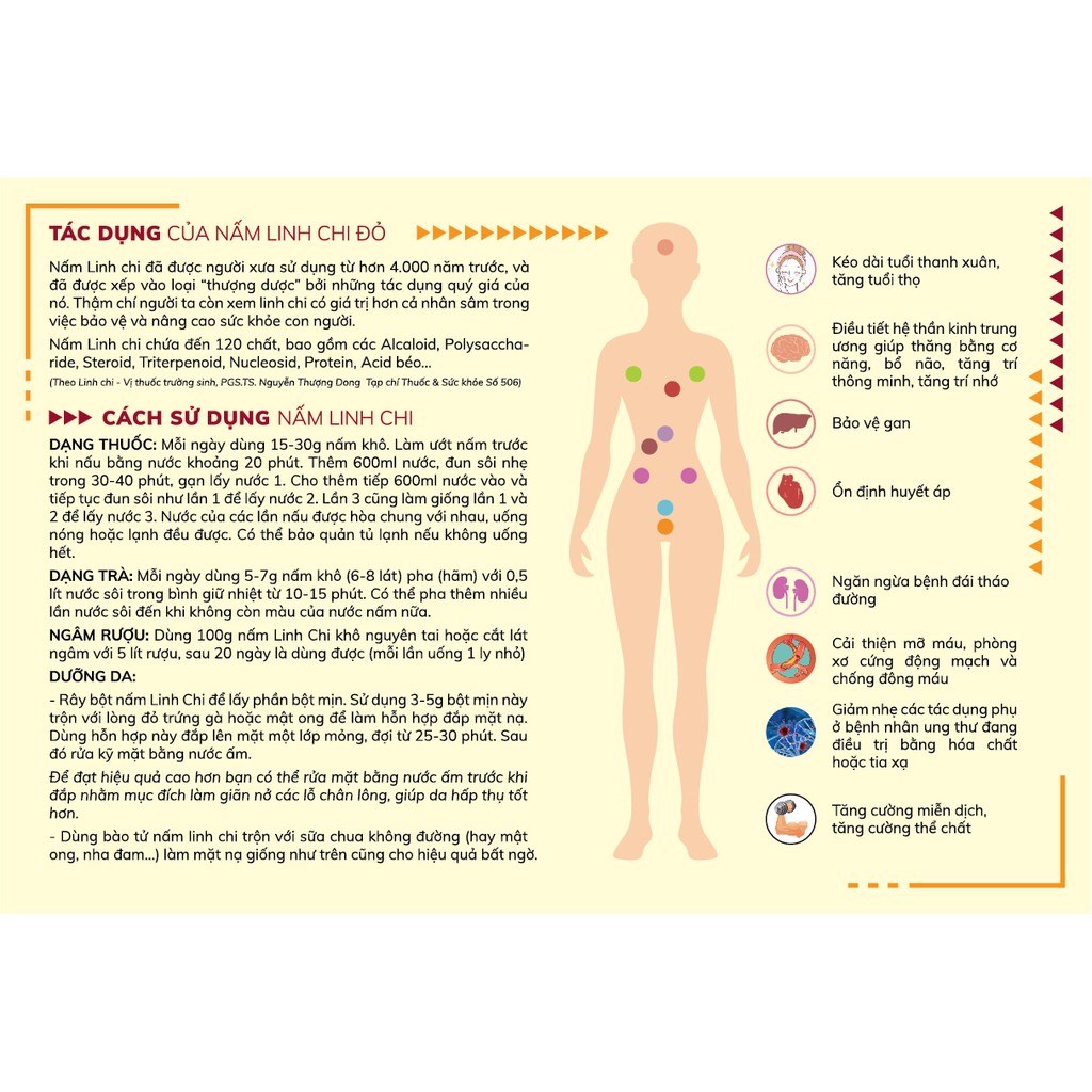 Nấm Linh Chi Nguyên Tai Hộp 250g - PLN - Nấm Linh Chi Giống Việt Nam Vị Đắng Nhẹ | BigBuy360 - bigbuy360.vn
