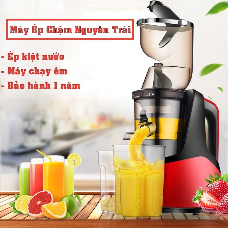 Máy ép chậm hoa quả nguyên trái, máy ép trái cây, rau củ quả, ép kiệt nước công suất 200W, bibi shop