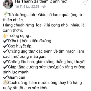 GIẢO CỔ LAM 5 LÁ SAPA