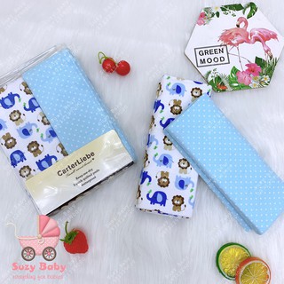 Set 2 lót chống thấm carter cho bé sơ sinh