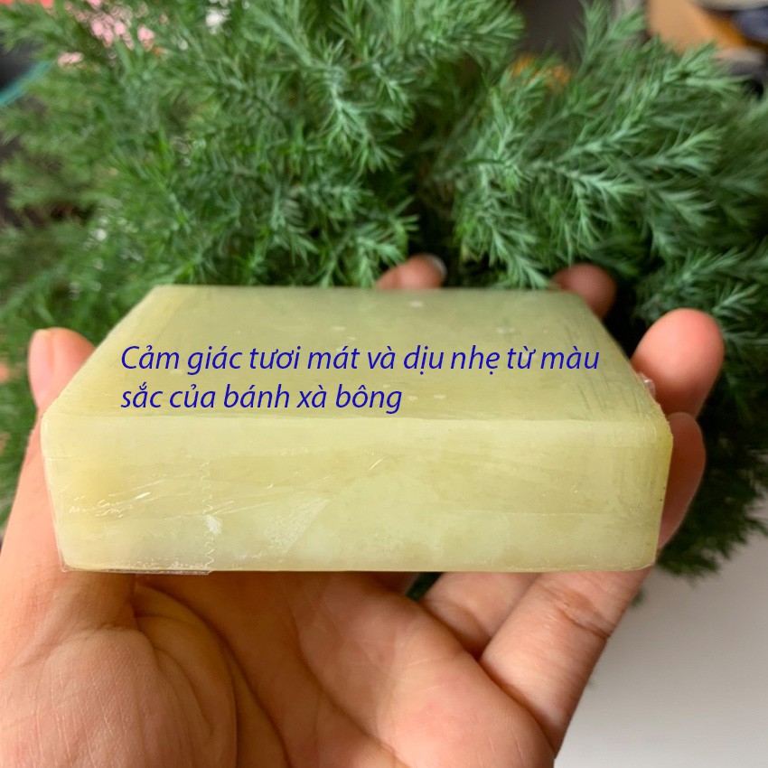 Xà Bông Tắm Mướp Đắng Thảo Mộc Sinh Dược - 100% Thành Phần Tự Nhiên | BigBuy360 - bigbuy360.vn