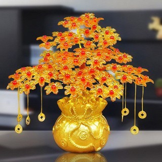 CÂY KIM TIỀN - CÂY TÀI LỘC