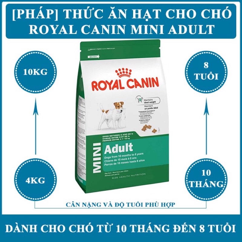 Thức ăn cho giống chó nhỏ trưởng thành Royal Mini Adult 800g,2kg Thương hiệu từ Pháp