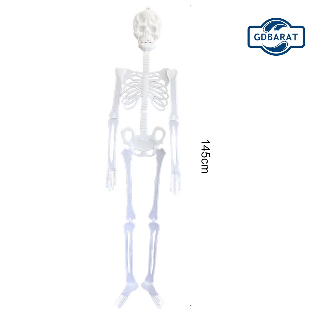Mô Hình Bộ Xương Người Bằng Nhựa Dạ Quang Độc Đáo Trang Trí Halloween