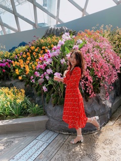 Sandal daphne