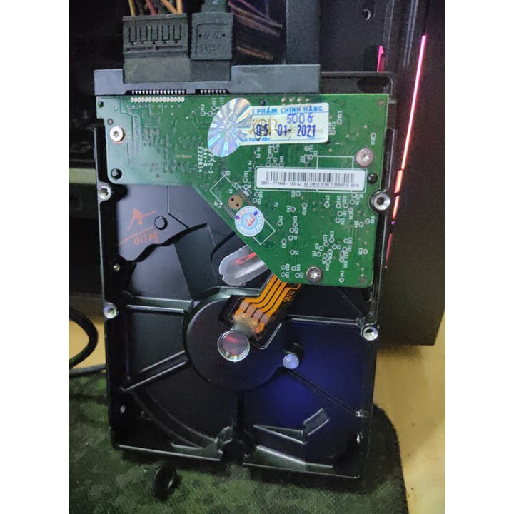 Ổ cứng máy tính - Western Tím -  500GB | BigBuy360 - bigbuy360.vn