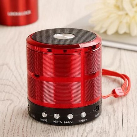 Loa Bluetooth WS-887