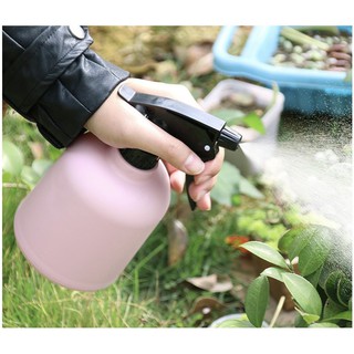 Bình xịt tưới cây, hoa dạng phun sương
