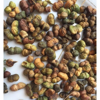 Quả Tam thất Bắc Sapa loại 1 500g