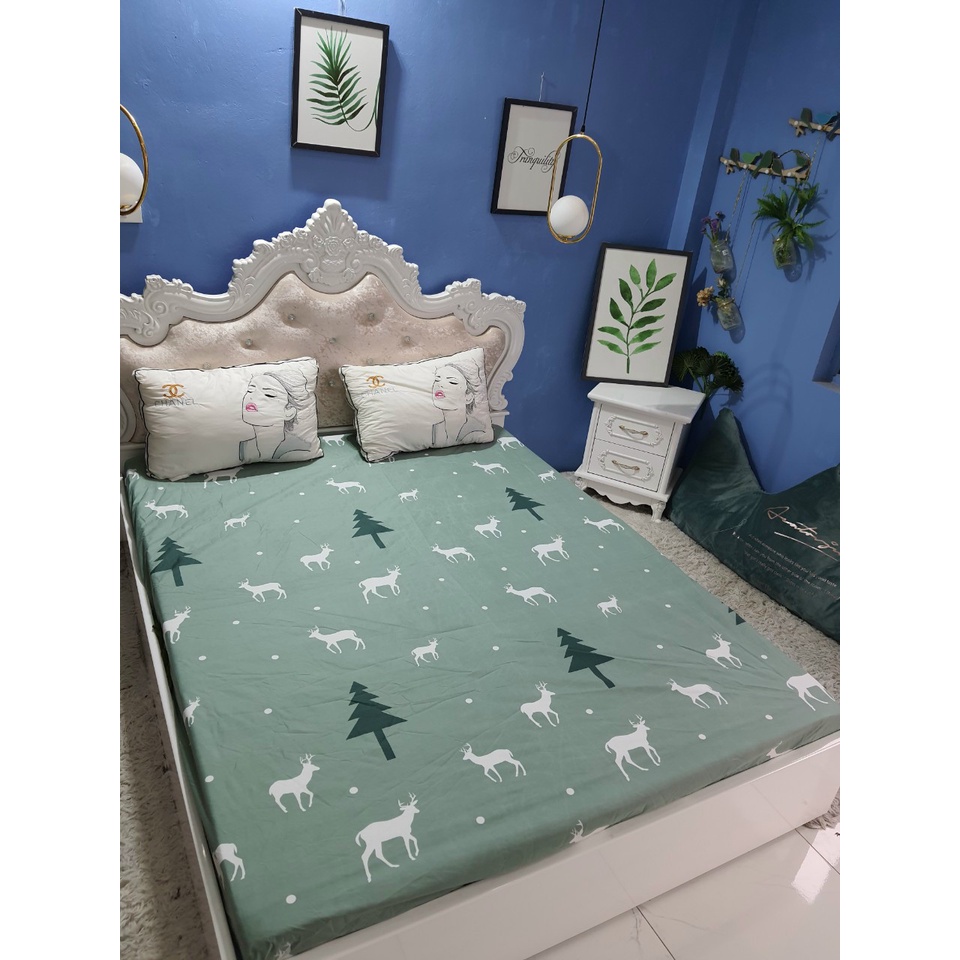 Ga chống thấm cotton cao cấp Hàn Quốc, ga trải giường chống thấm không nóng, không bí, thoáng mát | BigBuy360 - bigbuy360.vn