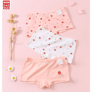 Combo 3 quần chip cho bé gái - vải cotton an toàn cho bé - ảnh sản phẩm 4