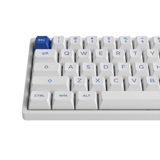 Bàn phím cơ AKKO 3068B Plus Blue on White