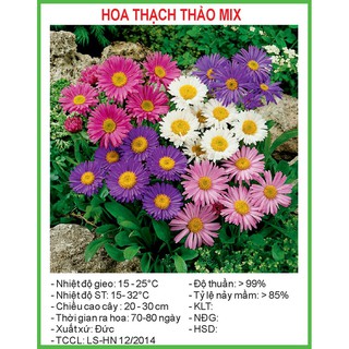 Hạt Giống Hoa thạch thảo Mix 50 Hạt/ Gói