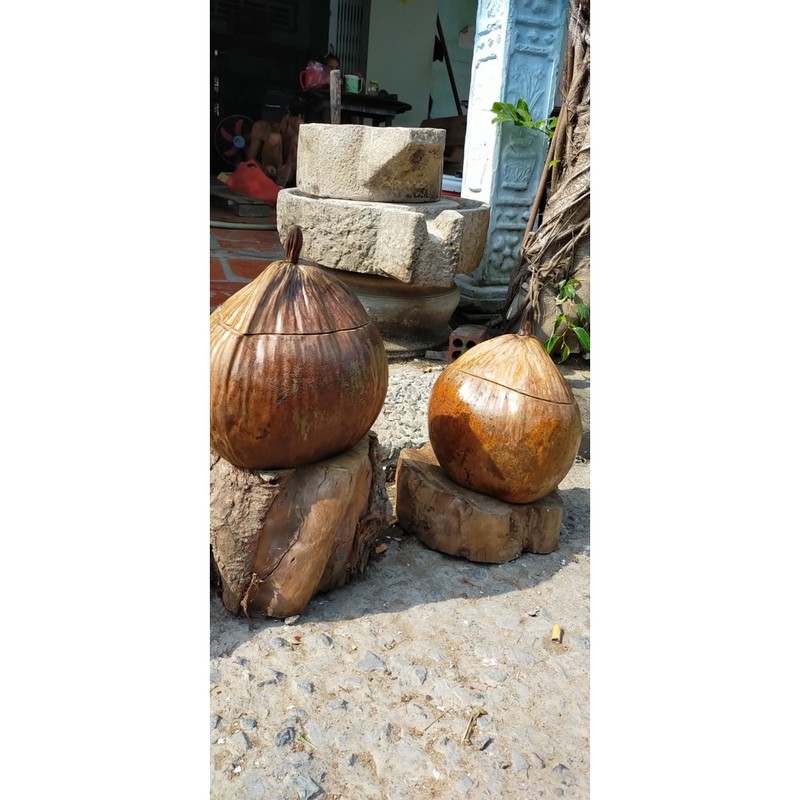 vỏ ấm trà quả dừa khô (sẵn hàng)