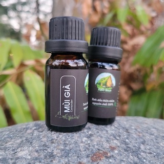 Tinh dầu mùi già nguyên chất 100% - 10ml
