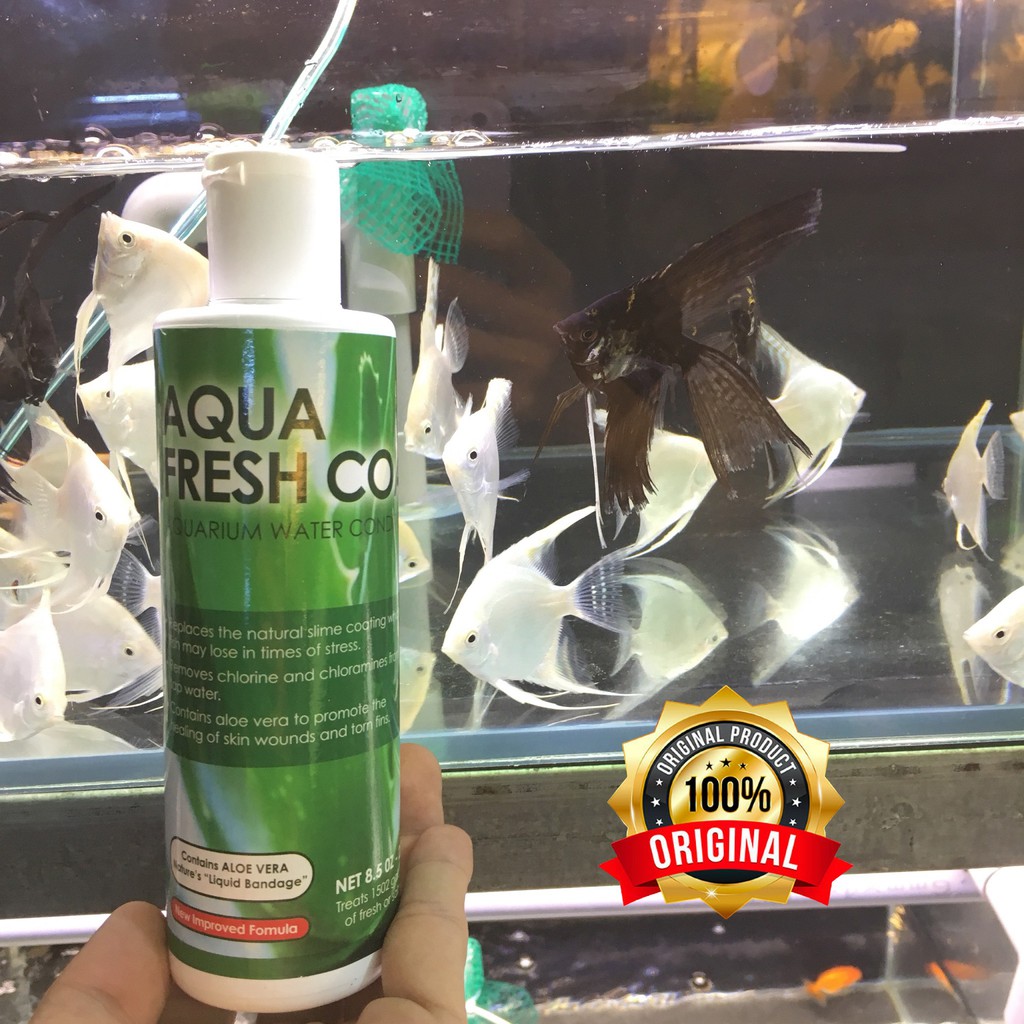 [hàng nhập khẩu-𝑭𝑹𝑬𝑬𝑺𝑯𝑰𝑷]✅AQUA FRESH COAT ✅tinh chất Nha Đam giảm stress,khử nước hồ cá cảnh 250ml