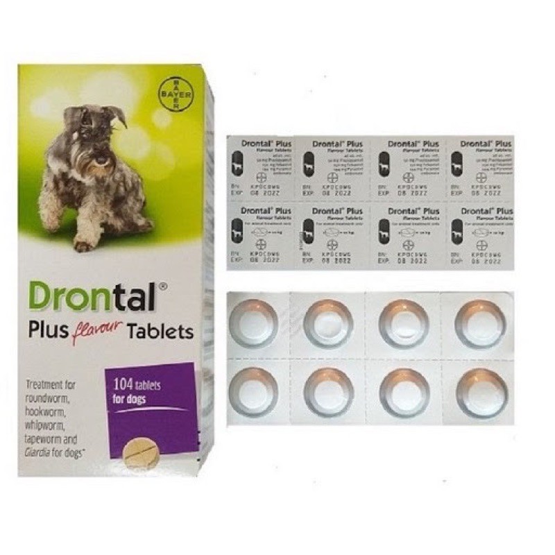 Drontal Dog - giải pháp giun sán cho chó