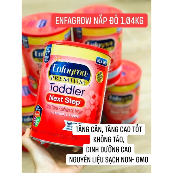 Sữa Enfagrow Premium Toddler nắp đỏ 1.04kg[T5.2022]