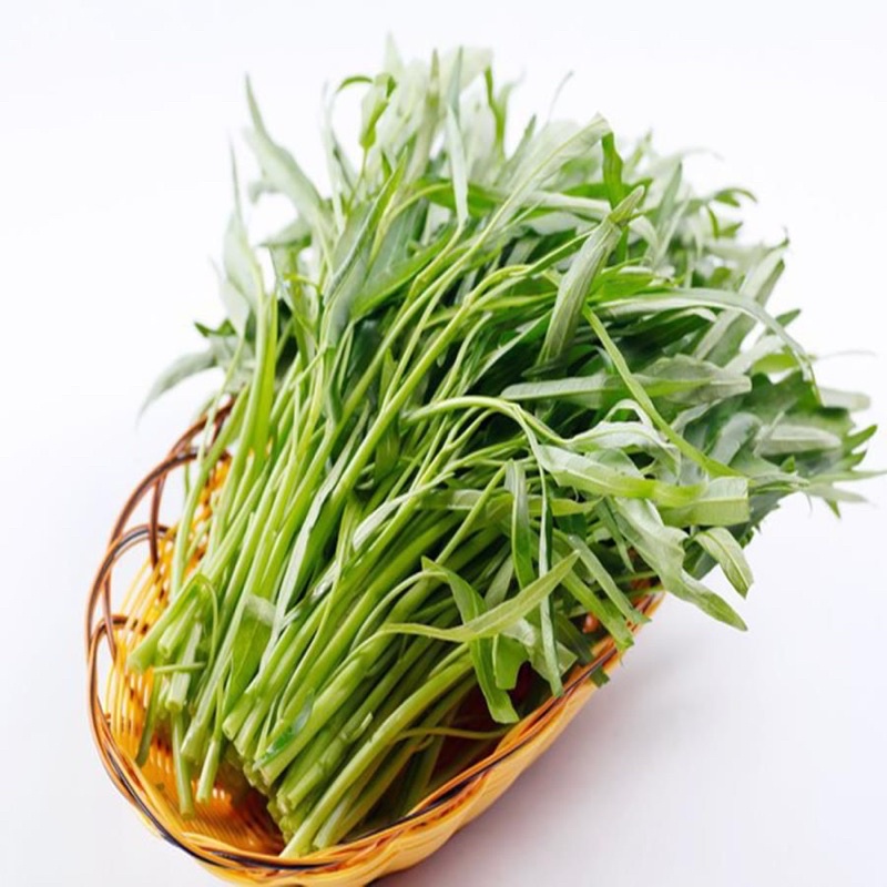 [Rạng đông] Hạt giống rau muống lá tre