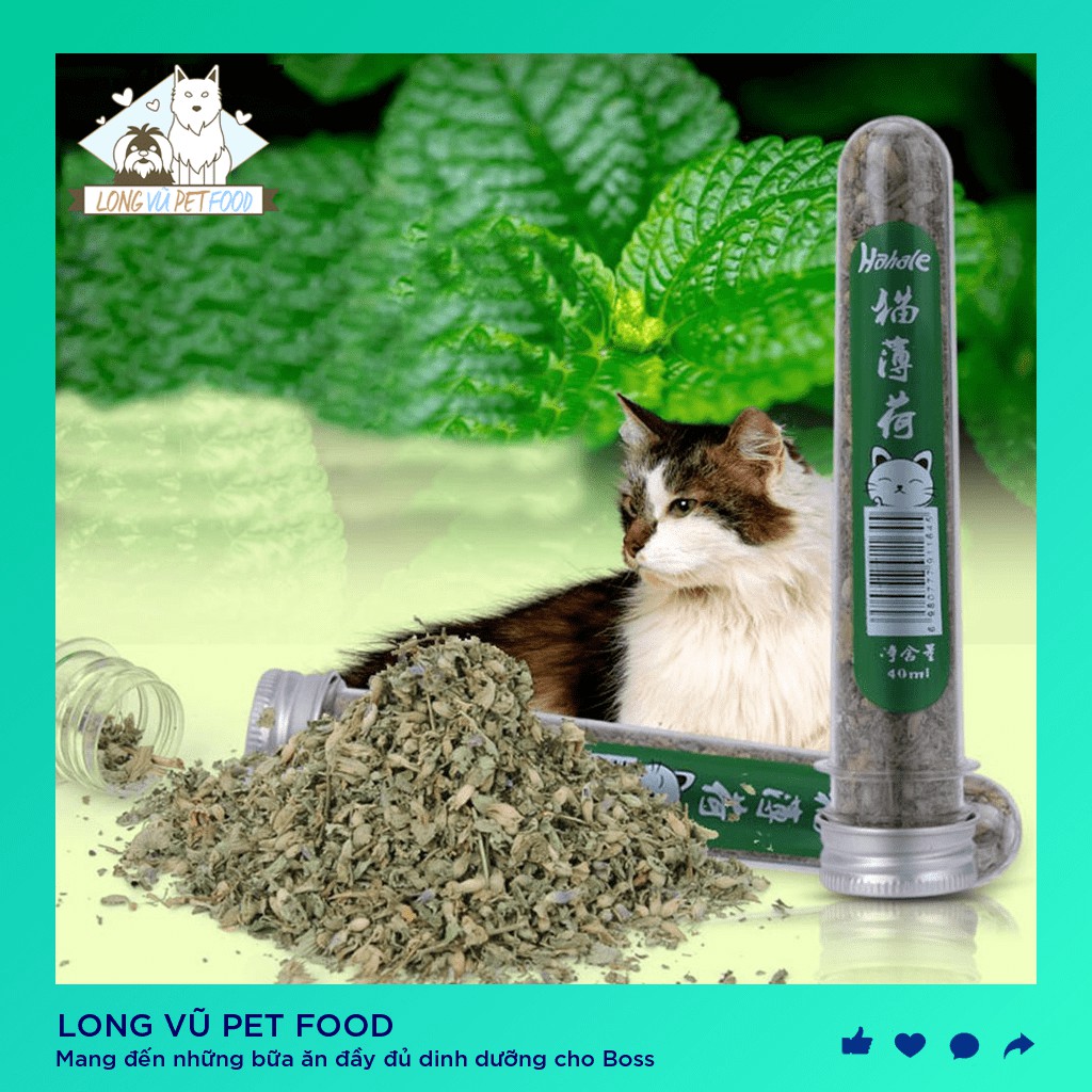 Cỏ bạc hà Catnip cho mèo thư giãn tiêu hóa tốt giảm stress tạo hưng phấn dạng ống 40ml - Long Vũ Pet Food