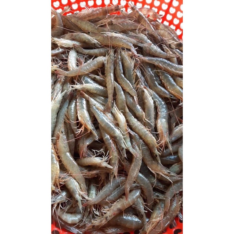 Tôm khô Cà Mau hàng ngon loại 1 làm từ tôm đất sống thiên nhiên