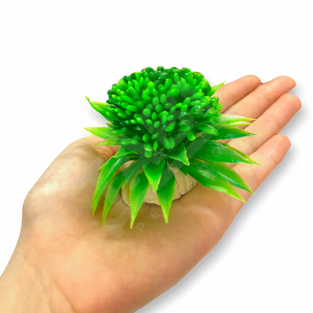 [NHẬN QUÀ KHI MUA ĐƠN 39K] Cây Nhựa Mô Hình Trang Trí Hồ Cá SIZE MINI [CÂY TRÒN MINI]