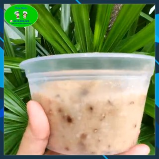 Chả Mọc (Giò Sống) - [ Ship Siêu Tốc HCM ]