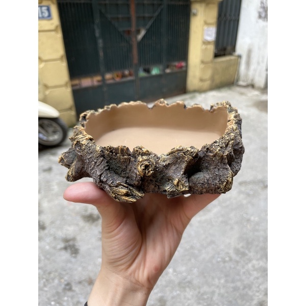 Máng ăn - Máng nước dành cho bò sát