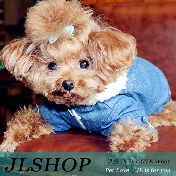 Áo khoác denim thiết kế thời trang cho thú cưng a2905