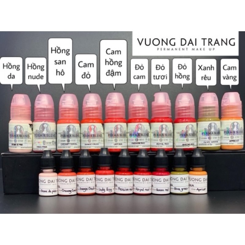 [CHÍNH HẴNG] Mực Perma Blend mini 5ml,Fullsize 15ml