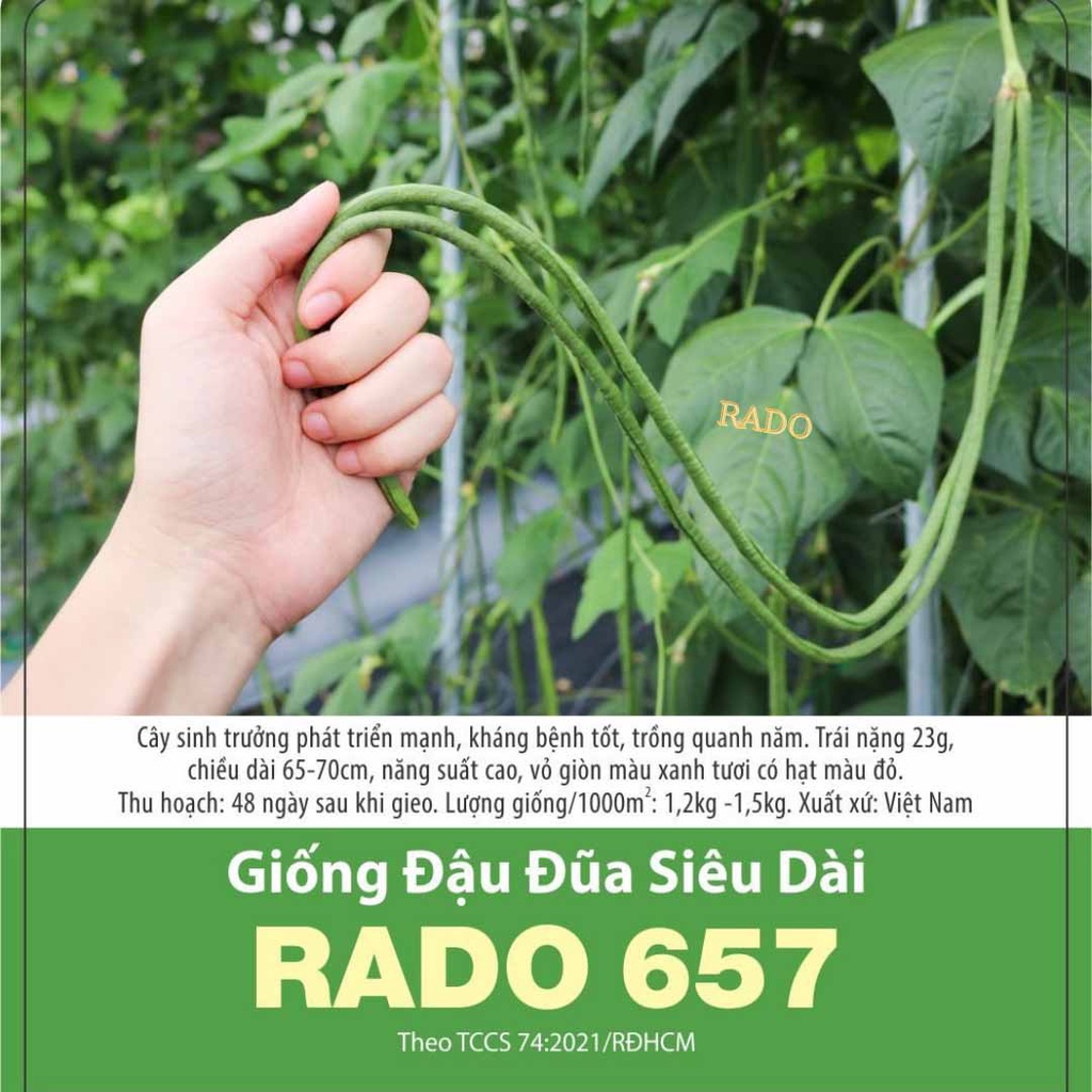 Hạt giống Đậu đũa siêu dài Rado 657 (10g) Rạng Đông | VTNN Cần Thơ