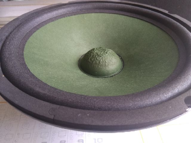 Loa bass rời 25cm màn xanh