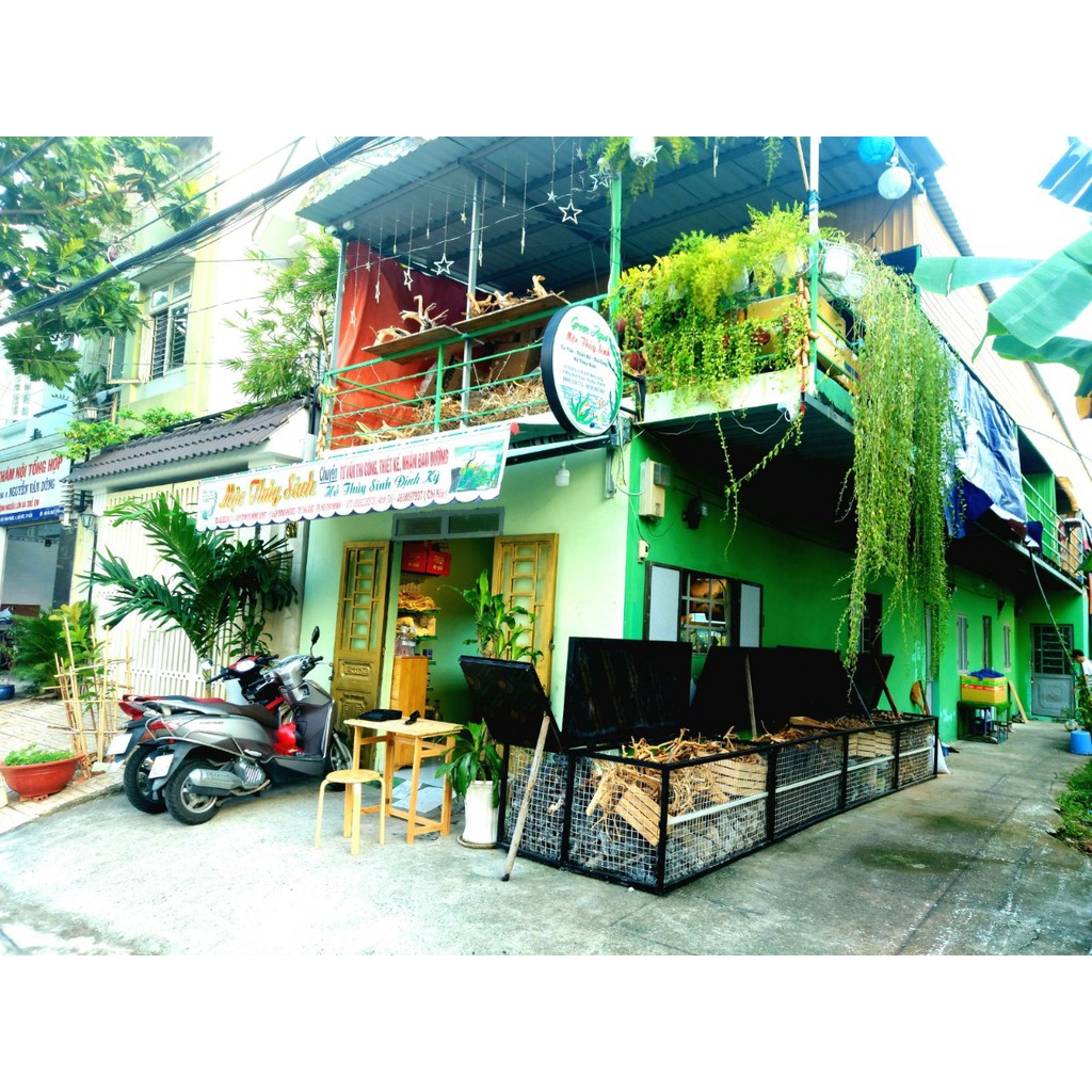 Đá đen Gia Lai  - Setup Bể Thuỷ Sinh hàng Đẹp Siêu Vân đủ Size