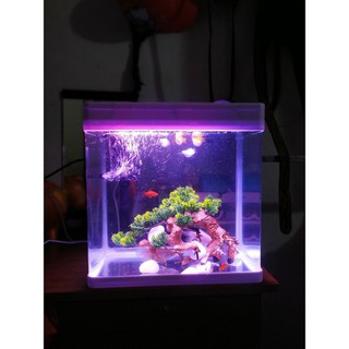 Bể đúc MJ 268 trọn bộ đèn led, máng lọc, máy lọc cho bế cá cảnh