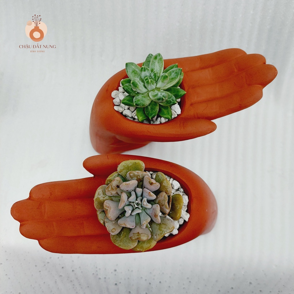 Chậu đất nung, Chậu sen đá - Bàn tay của người tôi yêu, miệng chậu 6cm, chiều cao 15cm