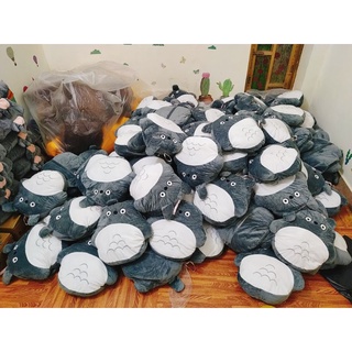 Túi sưởi sạc điện totoro