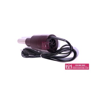 Ngải cứu điện Diện Chẩn