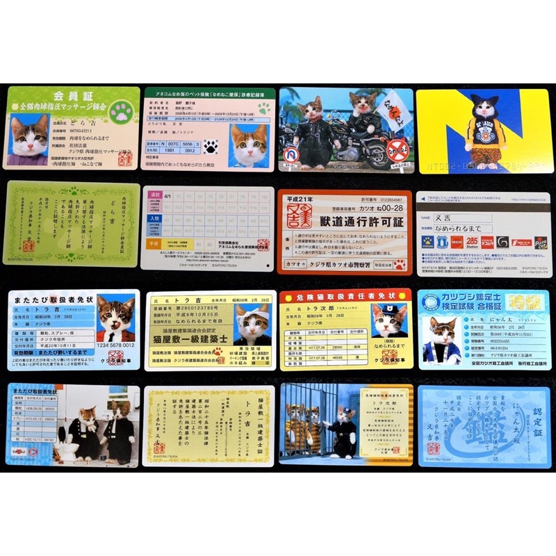 COD - CÓ SẴN PACK ẢNH SƯU TẦM MÈO RANDOM SIÊU CẤP ĐÁNG YÊU