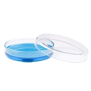 Glass petri dish/ đĩa petri thủy tinh, 1 cặp đĩa petri 90 x 15mm phòng thí nghiệm/giảng dạy