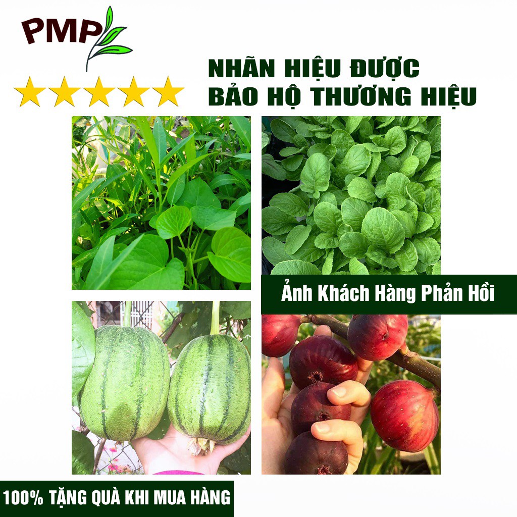 Phân Bón Hữu Cơ SOYMIC V PMP Cho rau sạch, rau củ quả trồng trong chậu 1000ml [Tặng gói hạt giống theo mùa]