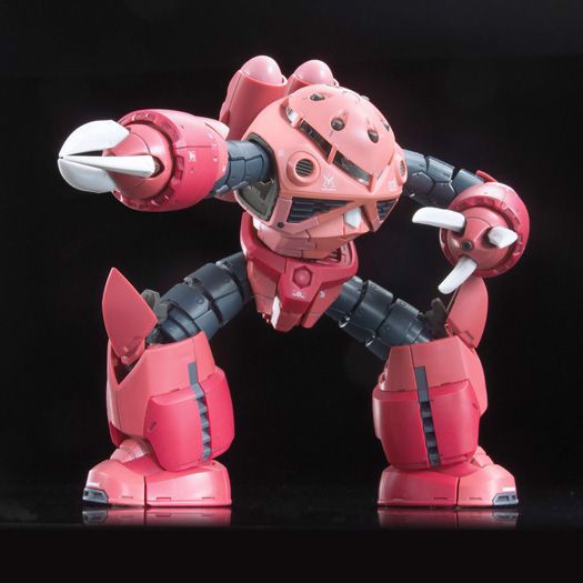 Mô Hình Gundam RG  Zgok Char Custom