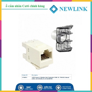 Ổ cắm mạng âm tường Commscope Cat6 RJ45 mã 1375055-1 -Chính Hãng