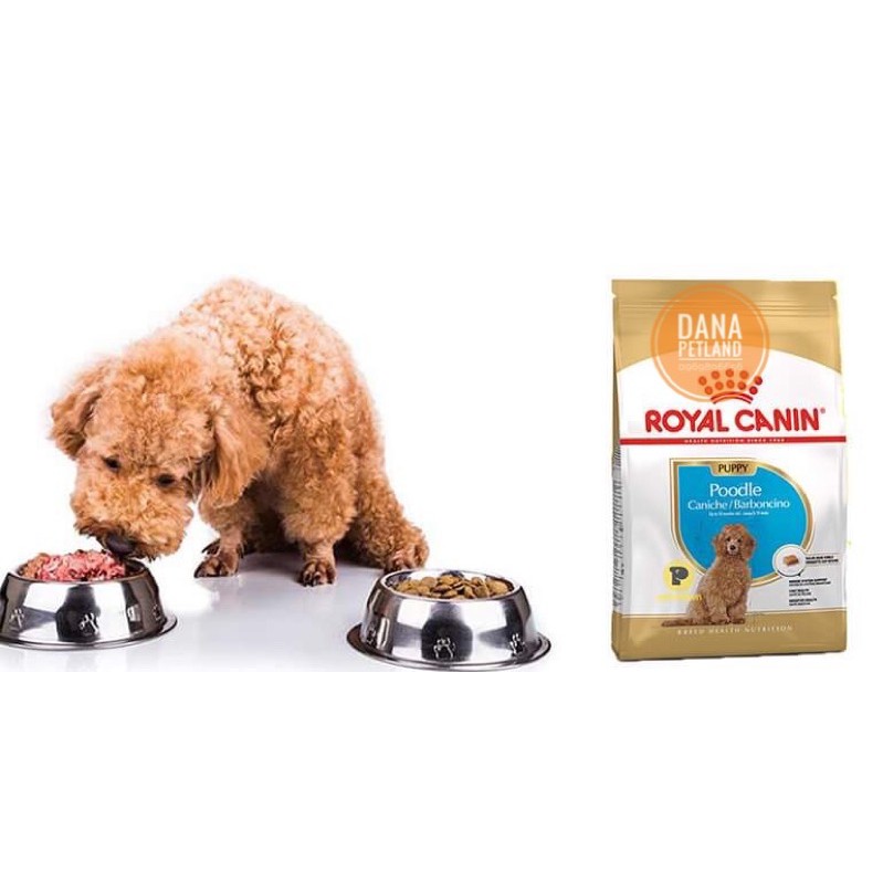 Thức ăn hạt chó poodle nhỏ Royal Canin Poodle Puppy 500g