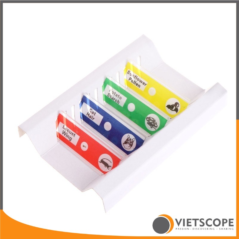 Bộ 12 mẫu tiêu bản đã qua xử lý dành cho kính hiển vi - Lam kính nhựa ABS