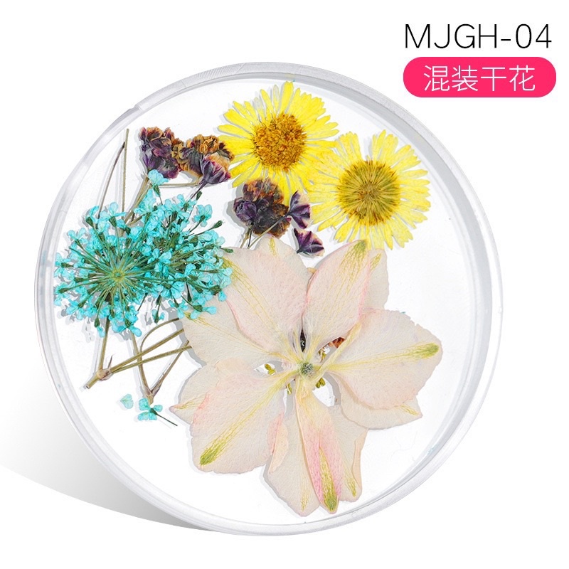 [HANGKIU] HOA KHÔ ẨN GEL SIÊU ĐÁNG YÊU